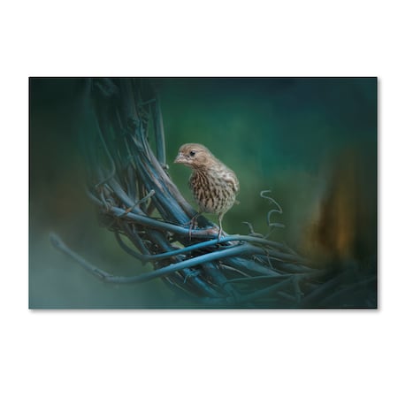 Jai Johnson 'A Little Brown Bird On A Little Blue Wreath' Canvas Art,22x32